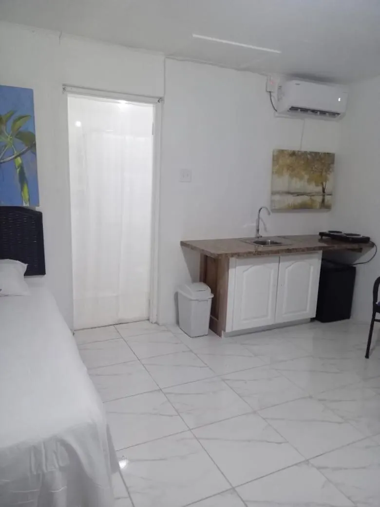 Feriehus Modern Home In Ocho Rios With Wi-Fi And Netflix
